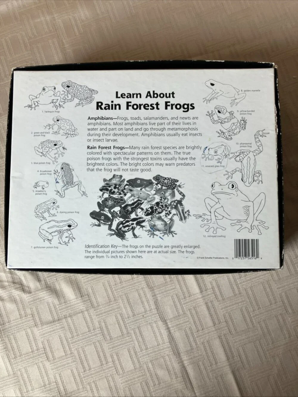 1996 Rainforest Frogs Floor Puzzle 50 Large Pieces 2'x3' Ages 4 and Up, EUC